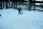 Snowshoeing in Oakville
