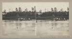 Swimming race, Oakville 1908