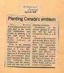 Planting Canada's emblem