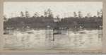 Canoe sports Oakville 1908