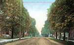 Colborne Street (now Lakeshore Road) in the early 1900s