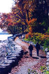 The Lakefront in the Fall