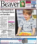 ASD treatment a financial drain on families