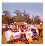 Art in the Park. 1972