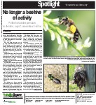 No longer a beehive of activity: pollinators under pressure, in decline, says Conservation Halton