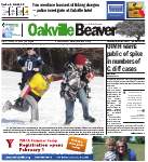 Oakville Beaver, 31 Jan 2014