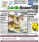 Oakville Beaver, 4 Apr 2014