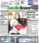 Oakville Beaver, 3 Apr 2014