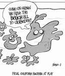 Steve Nease Editorial Cartoons: Fecal Coliform Bacteria at Play