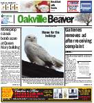 Oakville Beaver, 4 Dec 2014