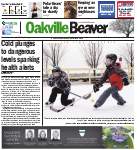 Oakville Beaver, 8 Jan 2015