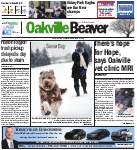 Oakville Beaver, 5 Feb 2015