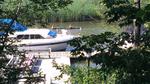 Kayaking up the creek