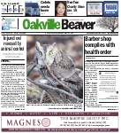 Oakville Beaver, 8 Jan 2016