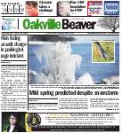 Oakville Beaver, 3 Mar 2016