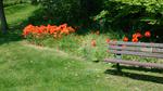 Lakeside Park Bench