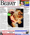 Oakville Beaver, 21 Oct 2009