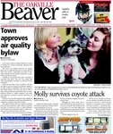 Town approves air quality bylaw