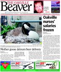 Oakville Beaver, 16 Apr 2010