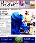 Oakville Beaver, 22 Jul 2010