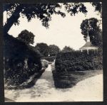 Mount Vernon gardens