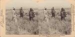 A Barley Harvest near Bethlehem of Judea, Palestine.