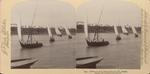 A Fleet of Arab Boats on the Nile, Egypt.